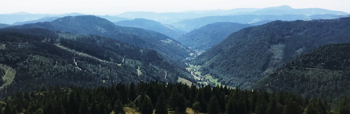 Waldschrat und Geisterzüge: Unterhaltsame Ferien im Schwarzwald. 