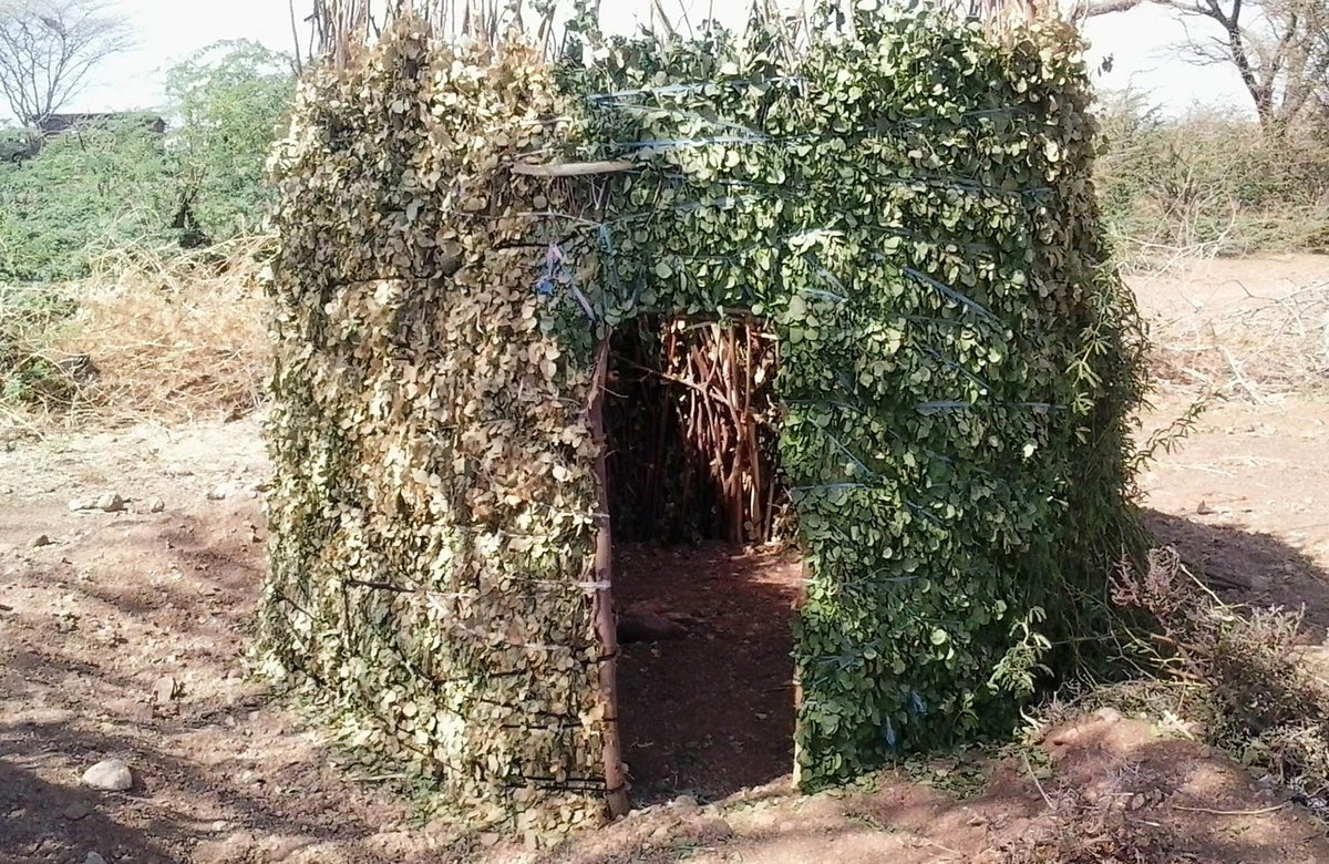 Eine Toilette aus Zweigen und Laub in Turkana West, Kenia. Foto: John Erupe, Oxfam
